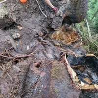 230802_waldbrand_karschneid_5.jpg