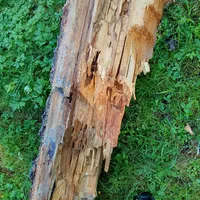 20220606_073907.jpg
