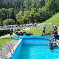 kuh_in_pool_8.jpg